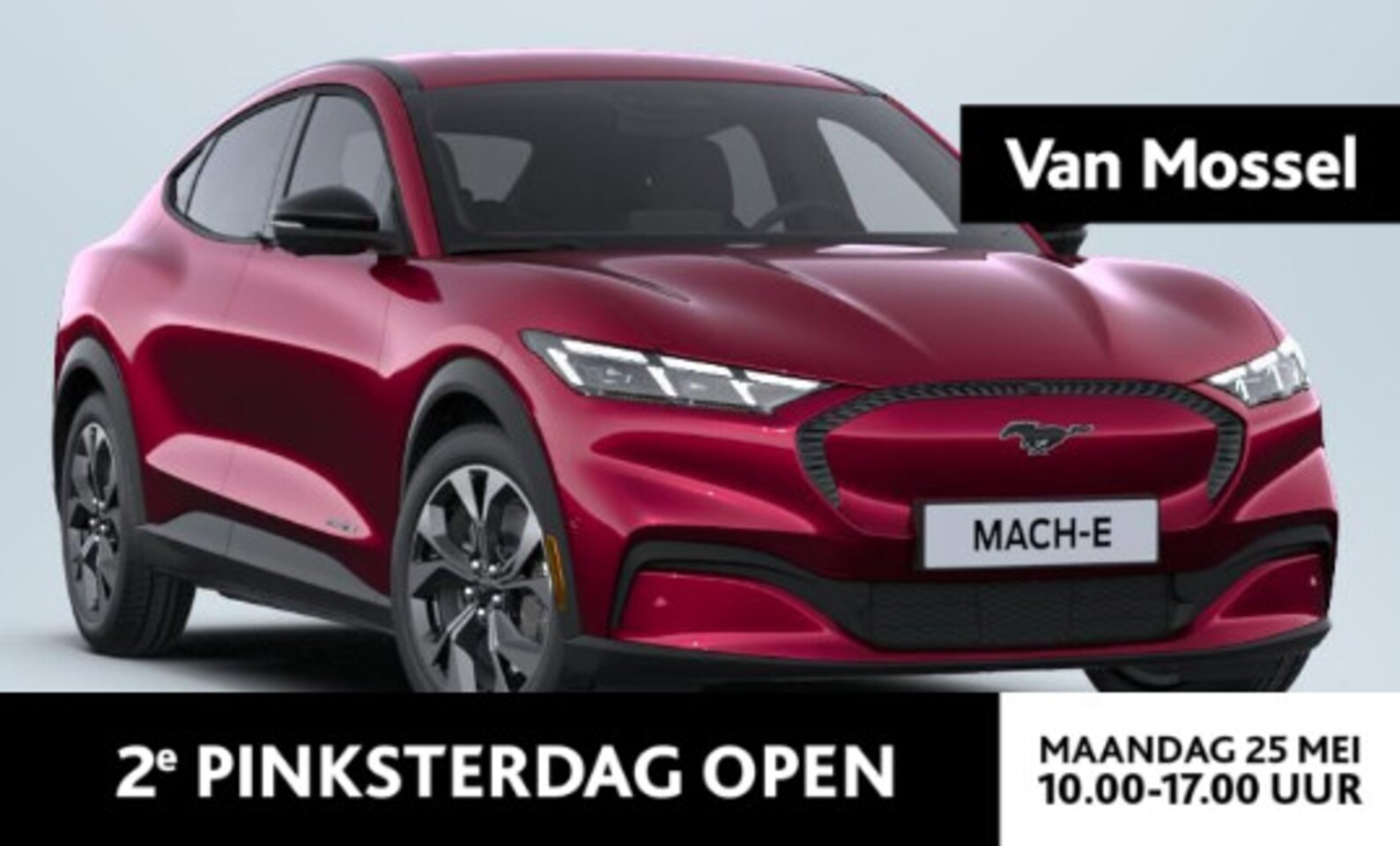 Ford Mustang Mach-E - Standard RWD 73 kWh | €1.000,- Ford Voordeel! | Nieuw te Bestellen! | Diverse Kleuren | Wa - AutoWereld.nl