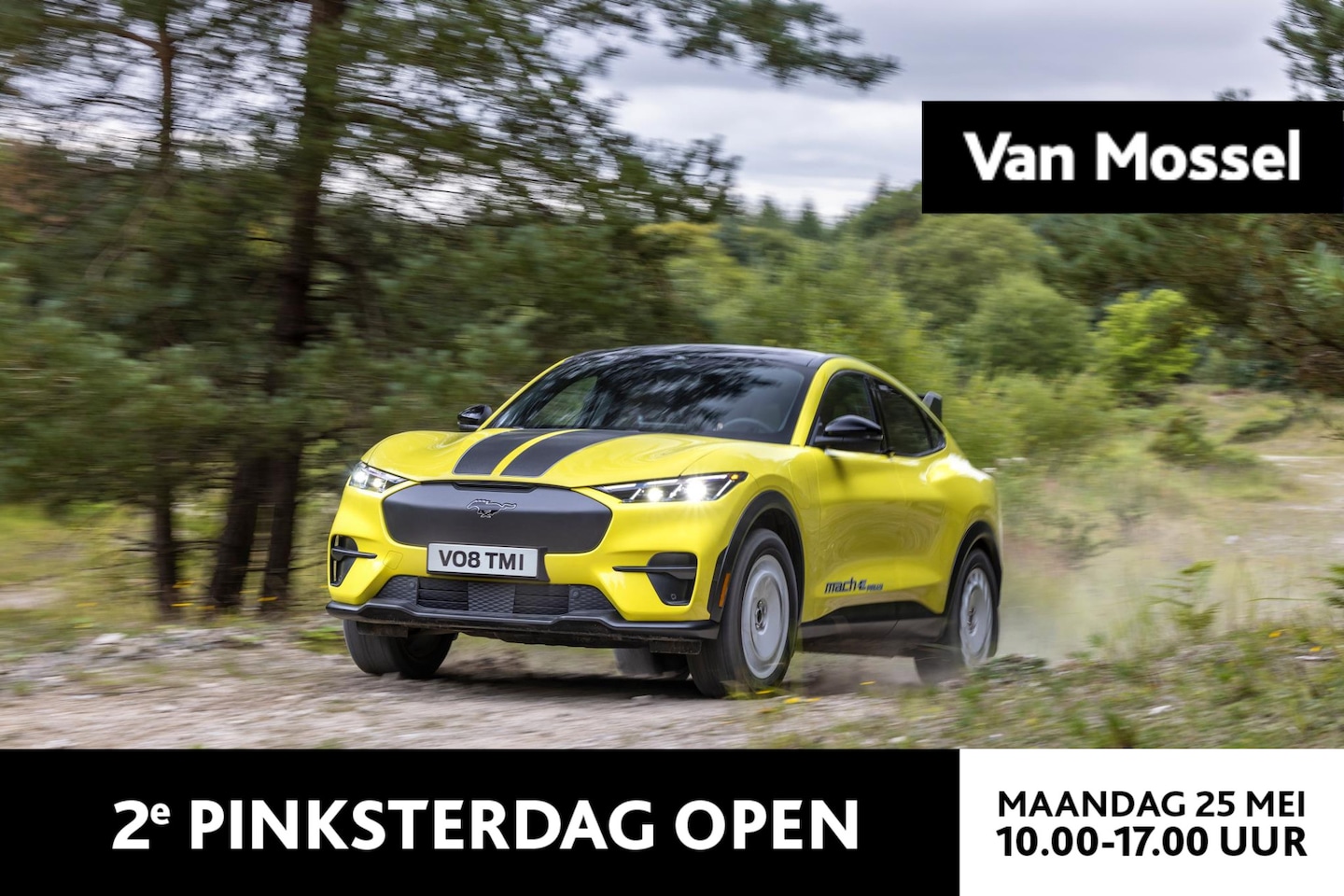 Ford Mustang Mach-E - Rally Extended AWD 91 kWh Ford Mustang Mach-E 98kWh Ext AWD Rally | Nieuw Te Bestellen | V - AutoWereld.nl