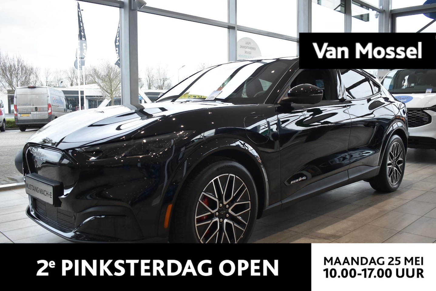 Ford Mustang Mach-E - Extended Premium AWD 98 kWh | Showroom Voorraad | €1000.- Korting | Panoramadak | Incl. Fo - AutoWereld.nl