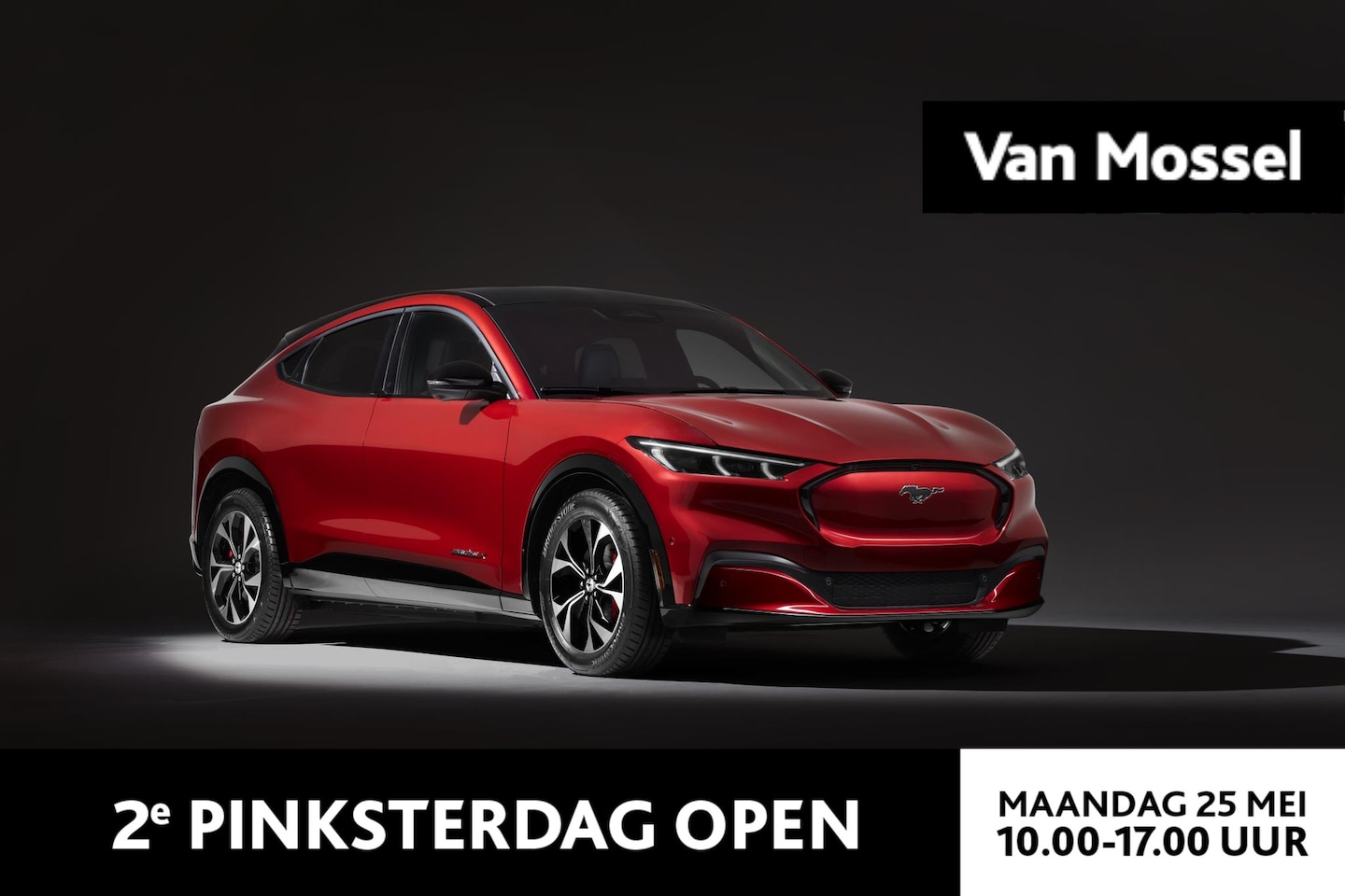 Ford Mustang Mach-E - Extended Premium AWD 98 kWh Ford Mustang Mach-E 98kWh Extended AWD Premium | Nieuw Te Best - AutoWereld.nl