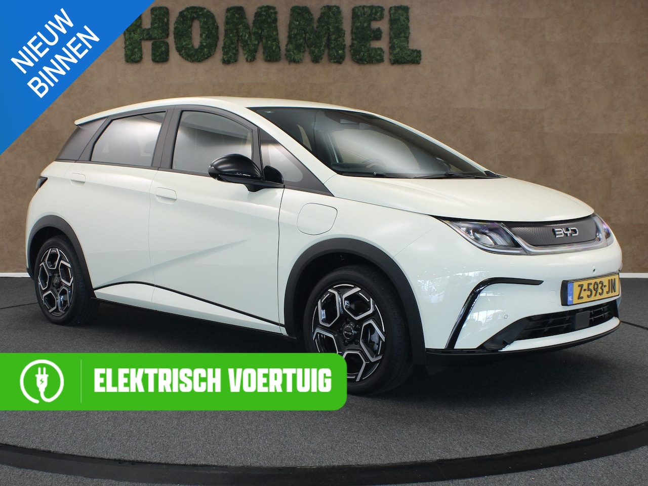 BYD Dolphin - Comfort 60.4 kWh - ORIGINEEL NEDERLANDSE AUTO - DODEHOEKDETECTIE - CRUISE CONTROL ADAPTIEF - AutoWereld.nl