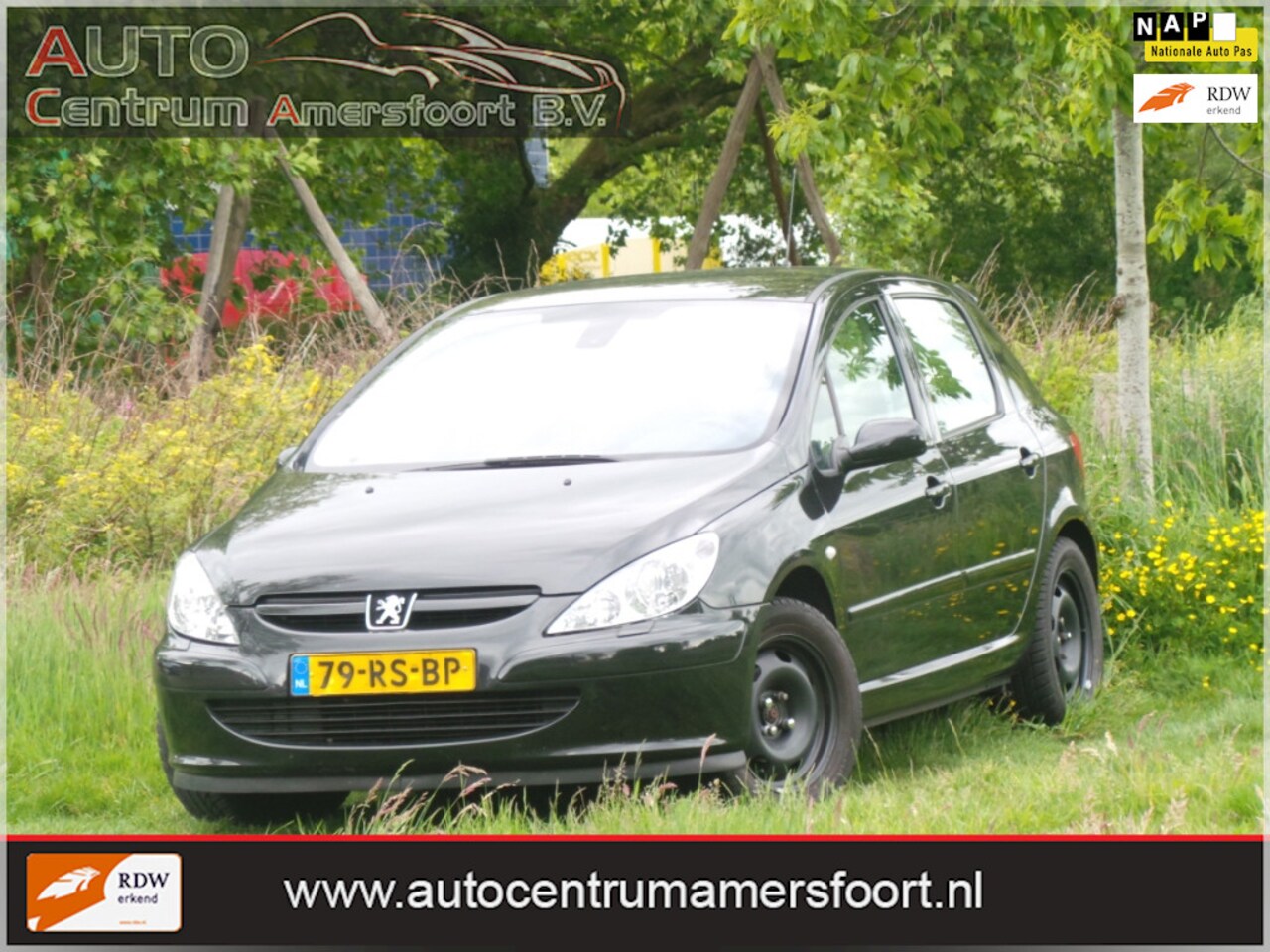 Peugeot 307 - 1.6-16V Griffe 1.6-16V Griffe ( INRUIL MOGELIJK ) - AutoWereld.nl