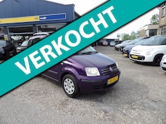 Fiat Panda - 1.2 Edizione Cool