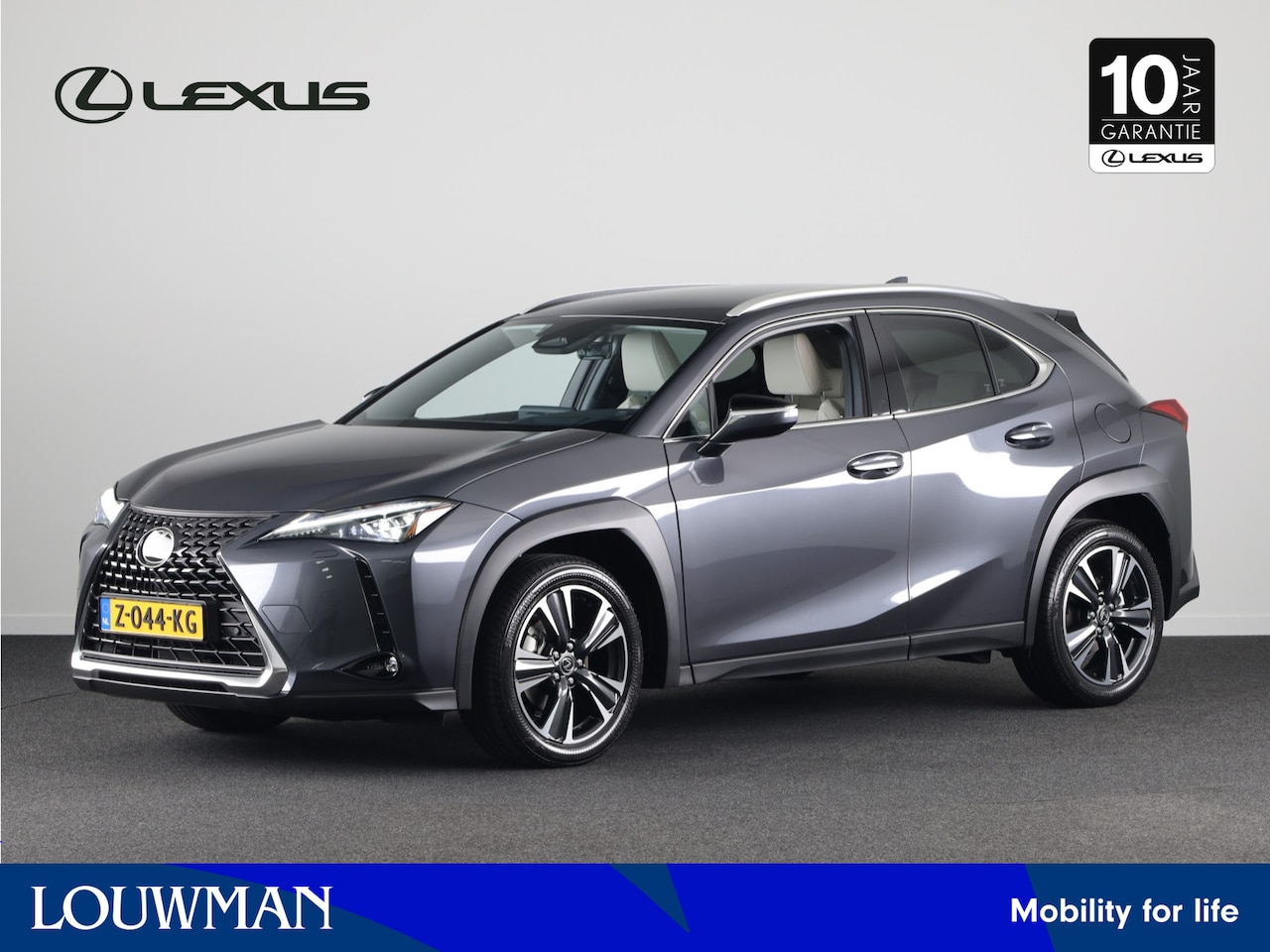 Lexus UX - 300h Luxury Line | BTW-Auto | Stoel & Stuurverwarming | - AutoWereld.nl
