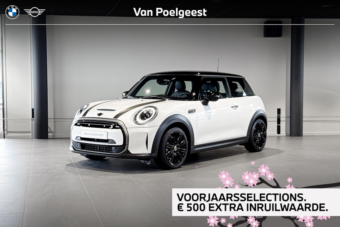 MINI Mini-Electric - Essential 33Kwh | Resolute Edition | Stoelverwarming | Driving Assistant | Selections 500 - AutoWereld.nl