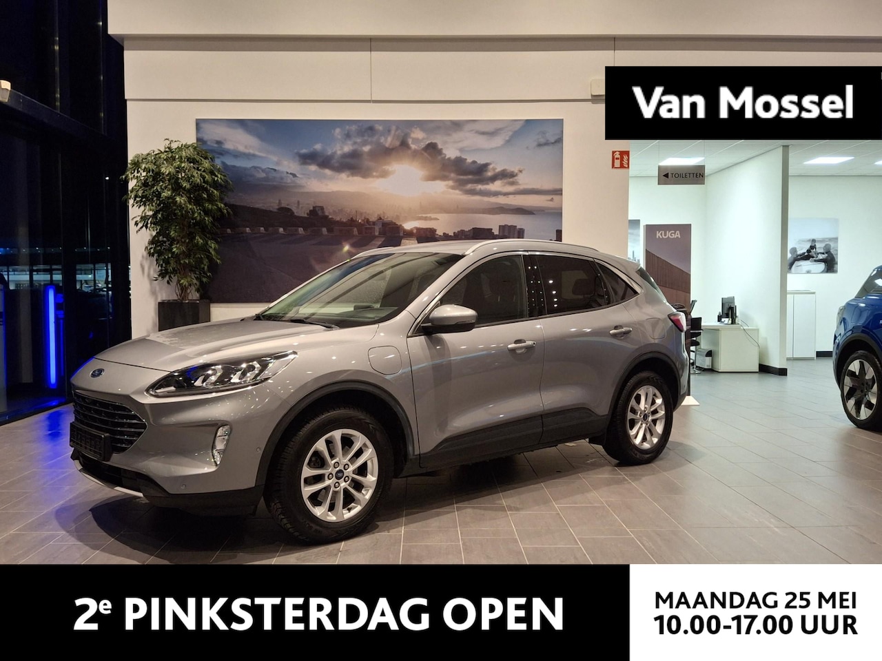 Ford Kuga - Titanium X | WinterPack | Head-up | Elektrische Trekhaak | Adaptive Cruise | B&O | Elektri - AutoWereld.nl