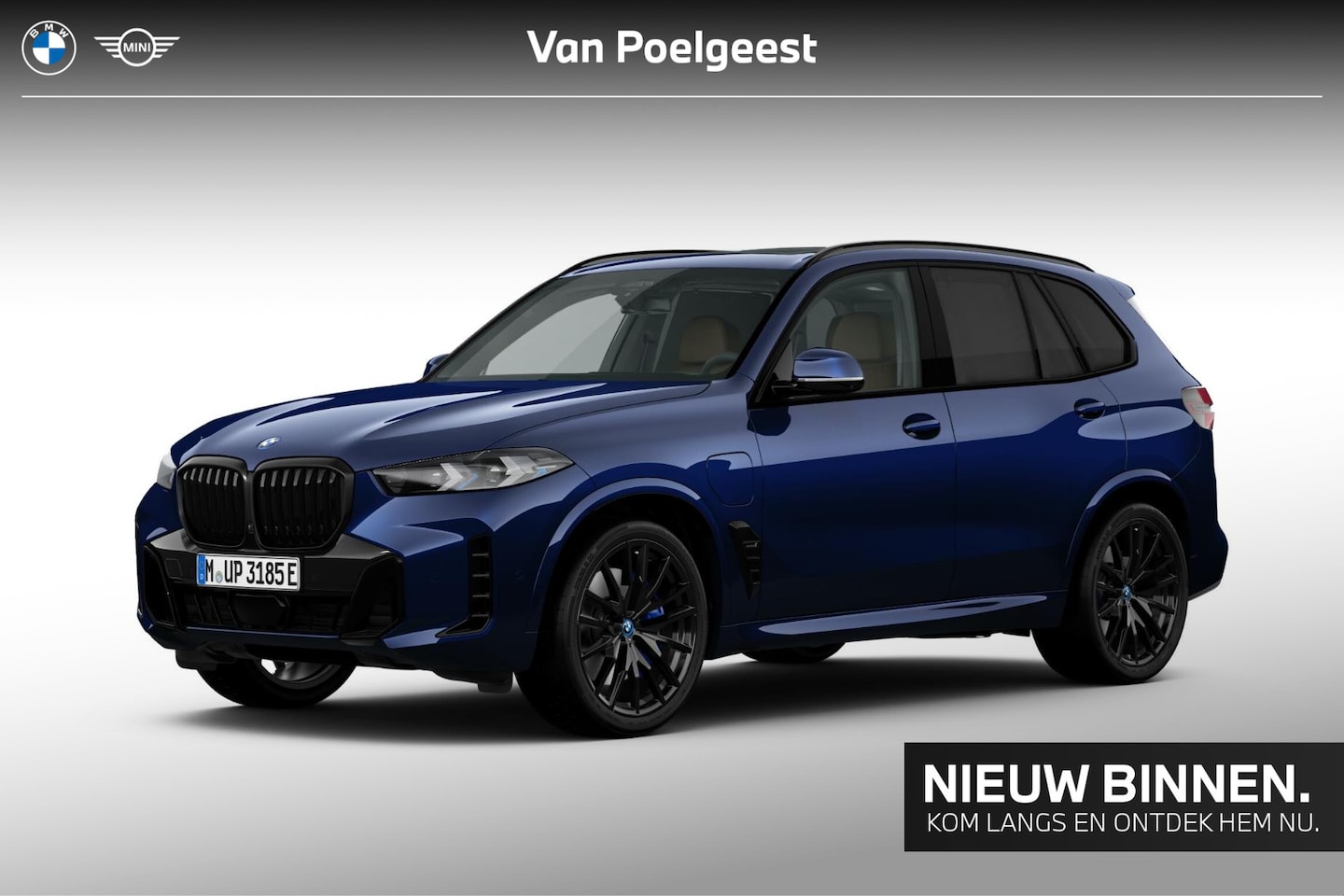 BMW X5 XDRIVE50E