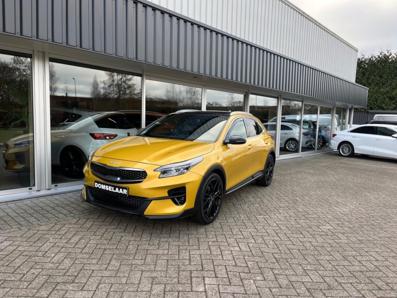 Kia XCeed - 1.0 T-GDi Black Edition - NL Auto PANO Navi Stoelverw. 19 inch LMV - AutoWereld.nl