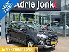 Ford EcoSport - 1.0 EcoBoost Titanium | CRUISE CONTROL | CLIMATE CONTROL | HALF LEDER | WINTERSET | 16 INC