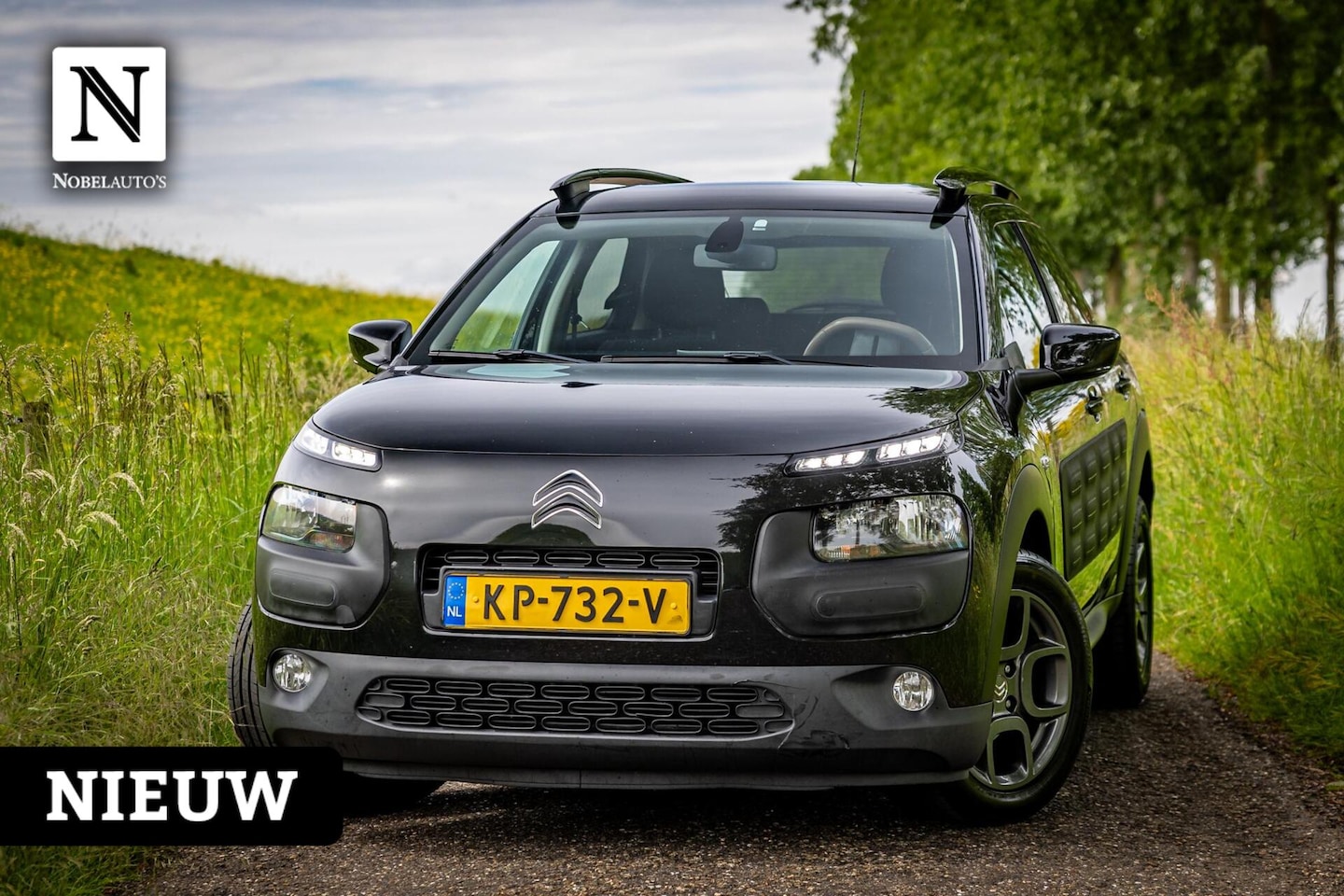 Citroën C4 Cactus - 1.2 PureTech Rip Curl|Nap|LM Velgen|Camera - AutoWereld.nl