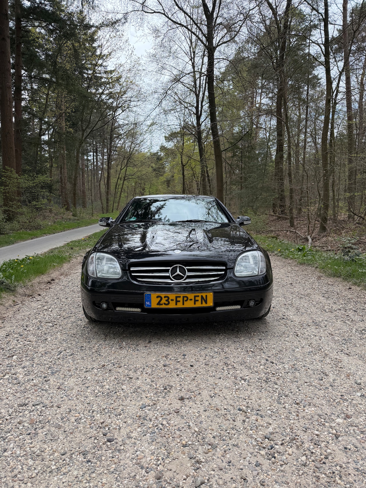 Mercedes-Benz SLK-klasse - 230 K. - AutoWereld.nl