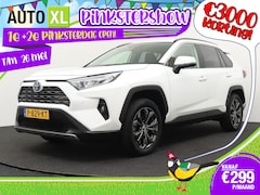 Toyota RAV4 - 2.5 Hybrid Business+ JBL 360* Camera Leder