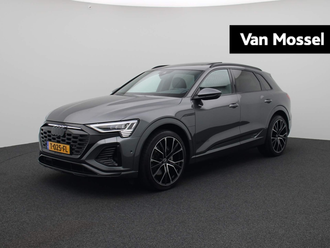 Audi Q8 e-tron - 55 quattro S Edition 115 kWh 408 PK | S-line | Automaat | Navigatie | Camera | Panoramadak - AutoWereld.nl
