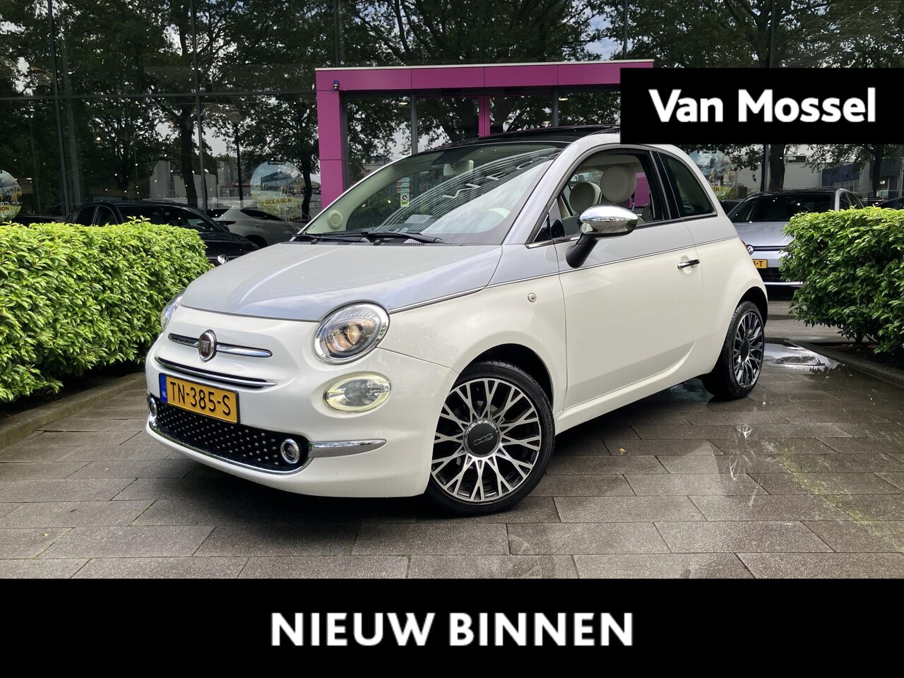 Fiat 500 - 0.9 TwinAir Turbo Collezione | WORDT VERWACHT | CRUISE CONTROL | PARKEERSENSOREN ACHTER | - AutoWereld.nl