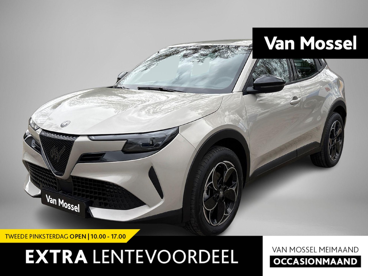 Alfa Romeo Junior - Elettrica 54 kWh | Apple Carplay/Android Auto | Climate Control | Parkeersensoren | Cruise - AutoWereld.nl
