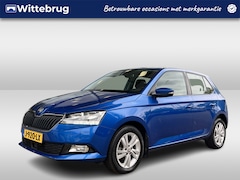 Skoda Fabia - 1.0 TSI Style / Carplay / 15 Inch / Parkeersensoren / climate / Stoelverwarming