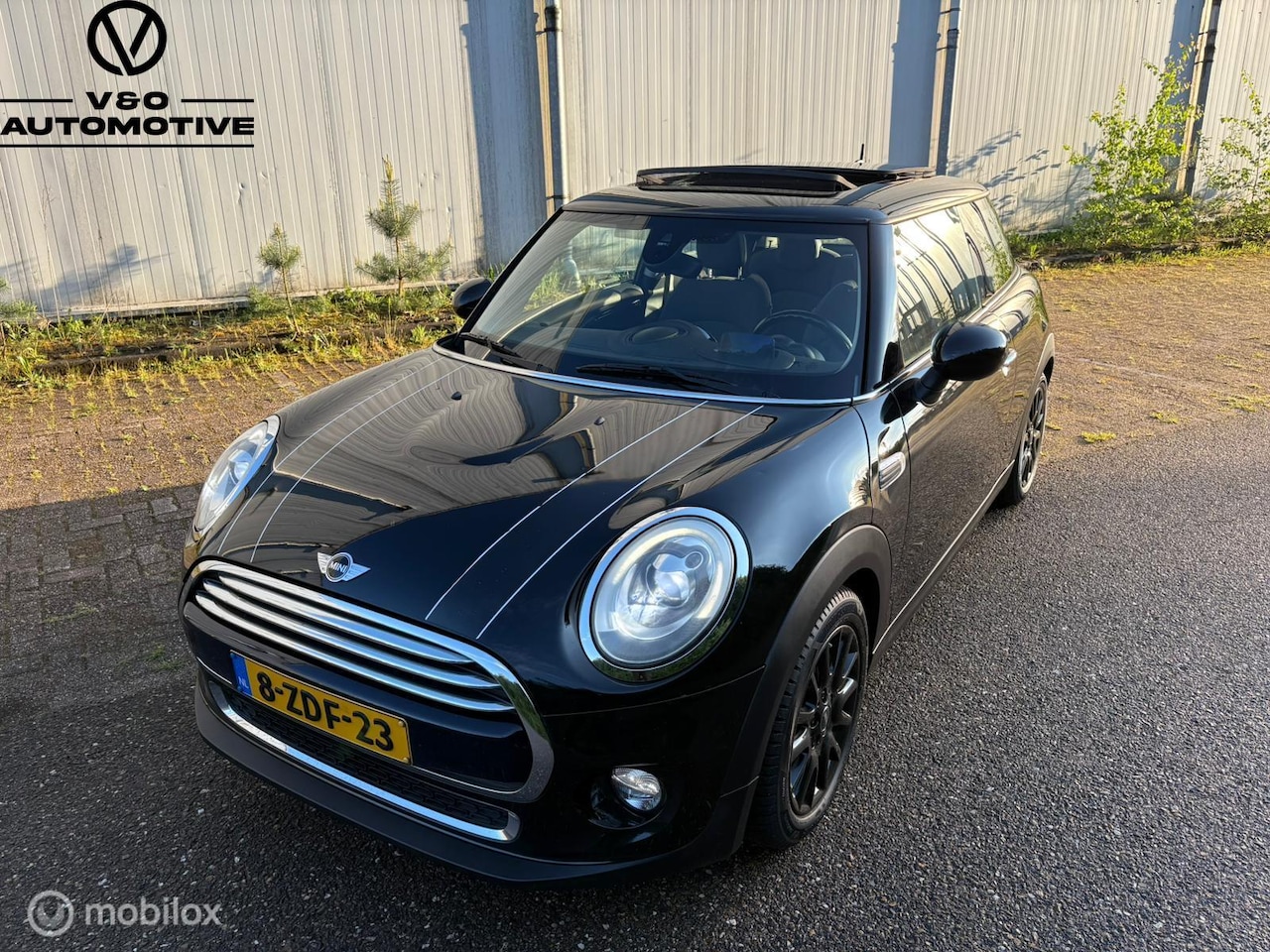 MINI Cooper - 1.5 First Born Edition | Bomvol - AutoWereld.nl