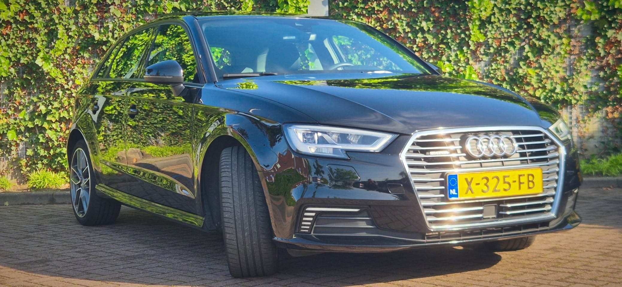 Audi A3 Sportback - 40 e-tron Advance Sport - Open dak | Stoelverw | ACC | Cam - AutoWereld.nl