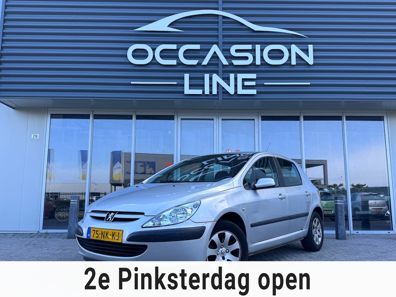 Peugeot 307 - 1.6-16V XS Pack | Cruise | 5DRS | Elek Ramen - AutoWereld.nl