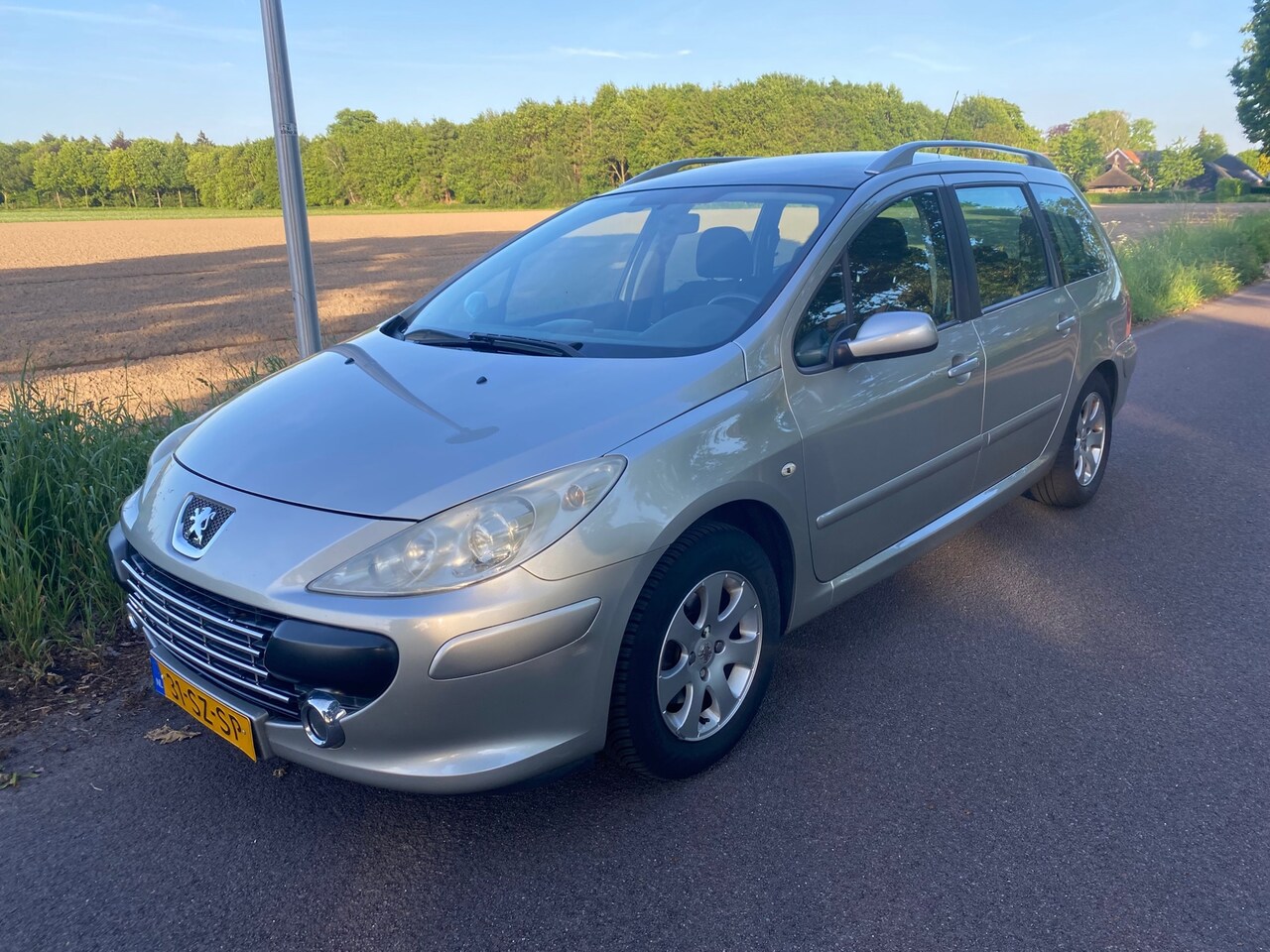 Peugeot 307 SW - 1.6-16V Pack 1.6-16V Pack - AutoWereld.nl