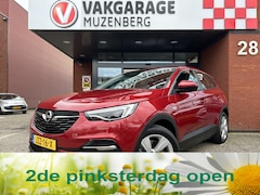 Opel Grandland X - 1.6 Turbo Hybrid Business Edition UNIEKE KM STAND // ADAPT. CRUISE // CAMERA+SENSOREN // N