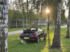 Volkswagen Beetle Cabriolet - 1.2 TSI Design BlueMotion DSG Club full option