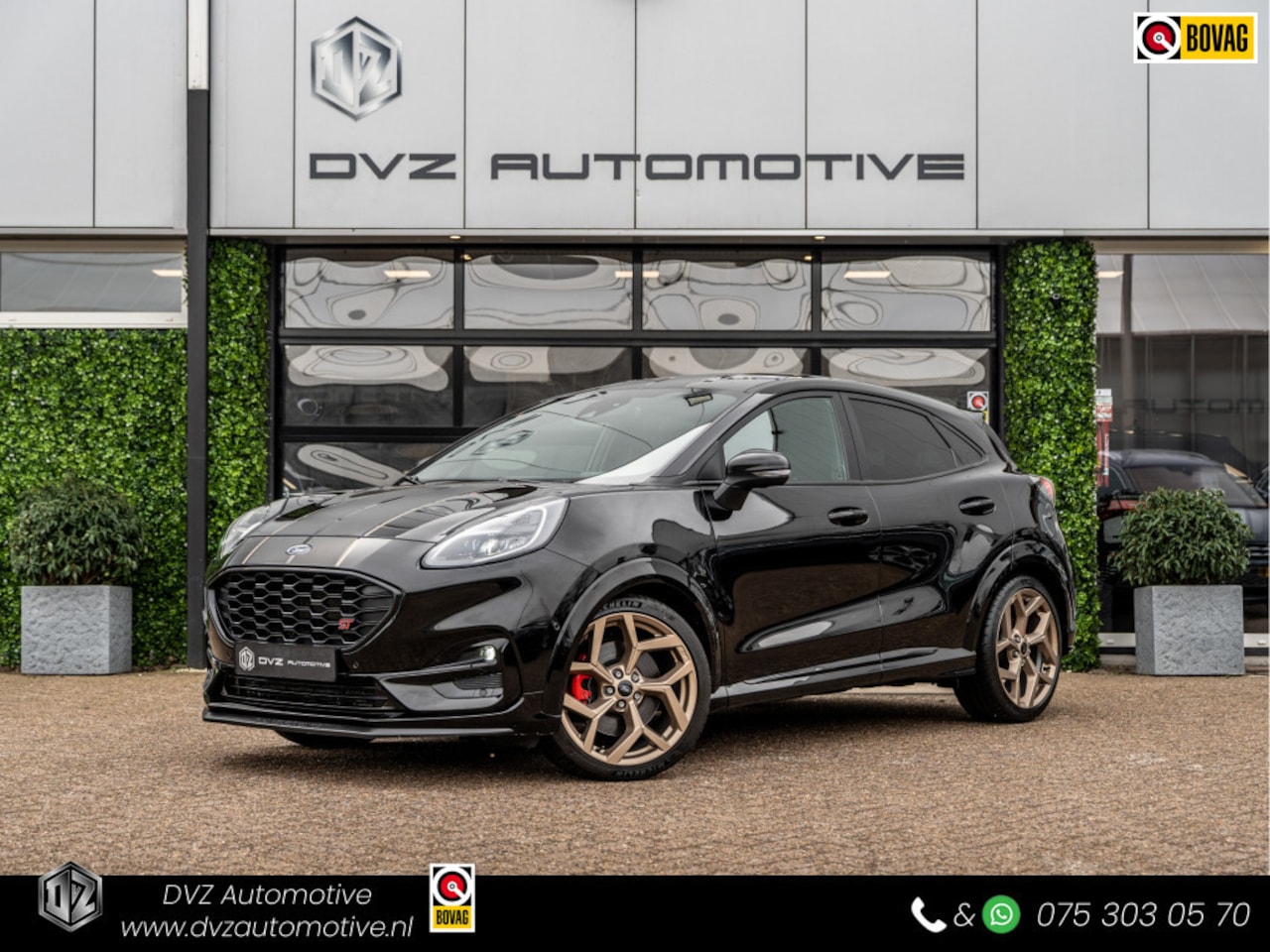Ford Puma - 1.5 EcoBoost 200PK ST Gold Edition | Performance Pack | B&O Sound | Winter Pack - AutoWereld.nl