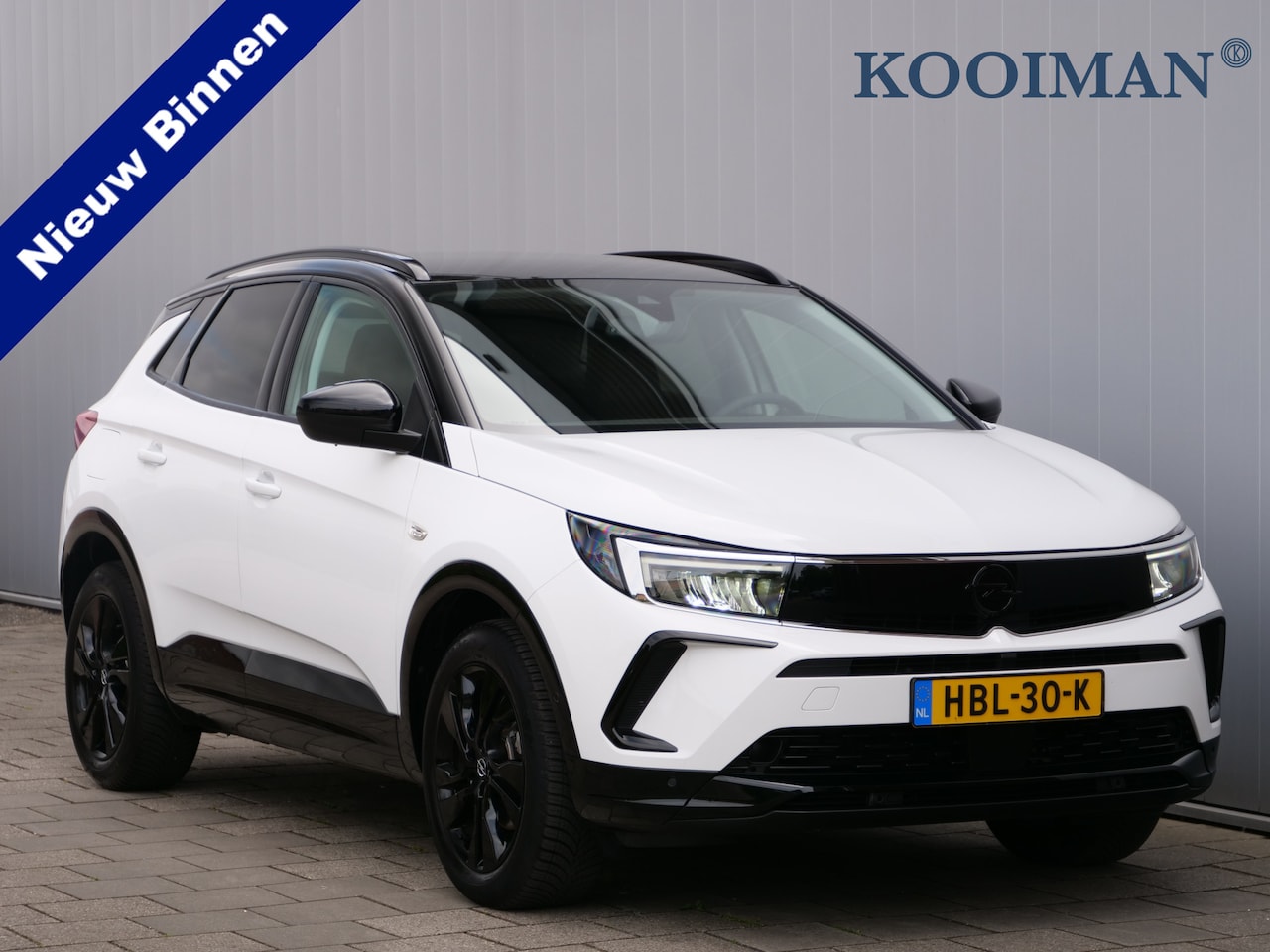 Opel Grandland - 1.2 Turbo 130pk GS Automaat Winterpakket / Adaptive cruise / Navigatie / Camera - AutoWereld.nl