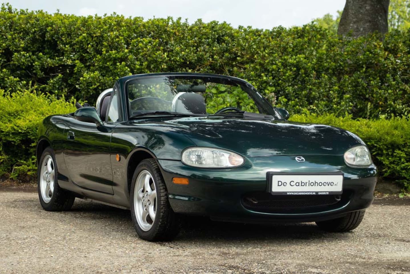 Mazda MX-5 - NB 1.6l Grace Green Mica - AutoWereld.nl
