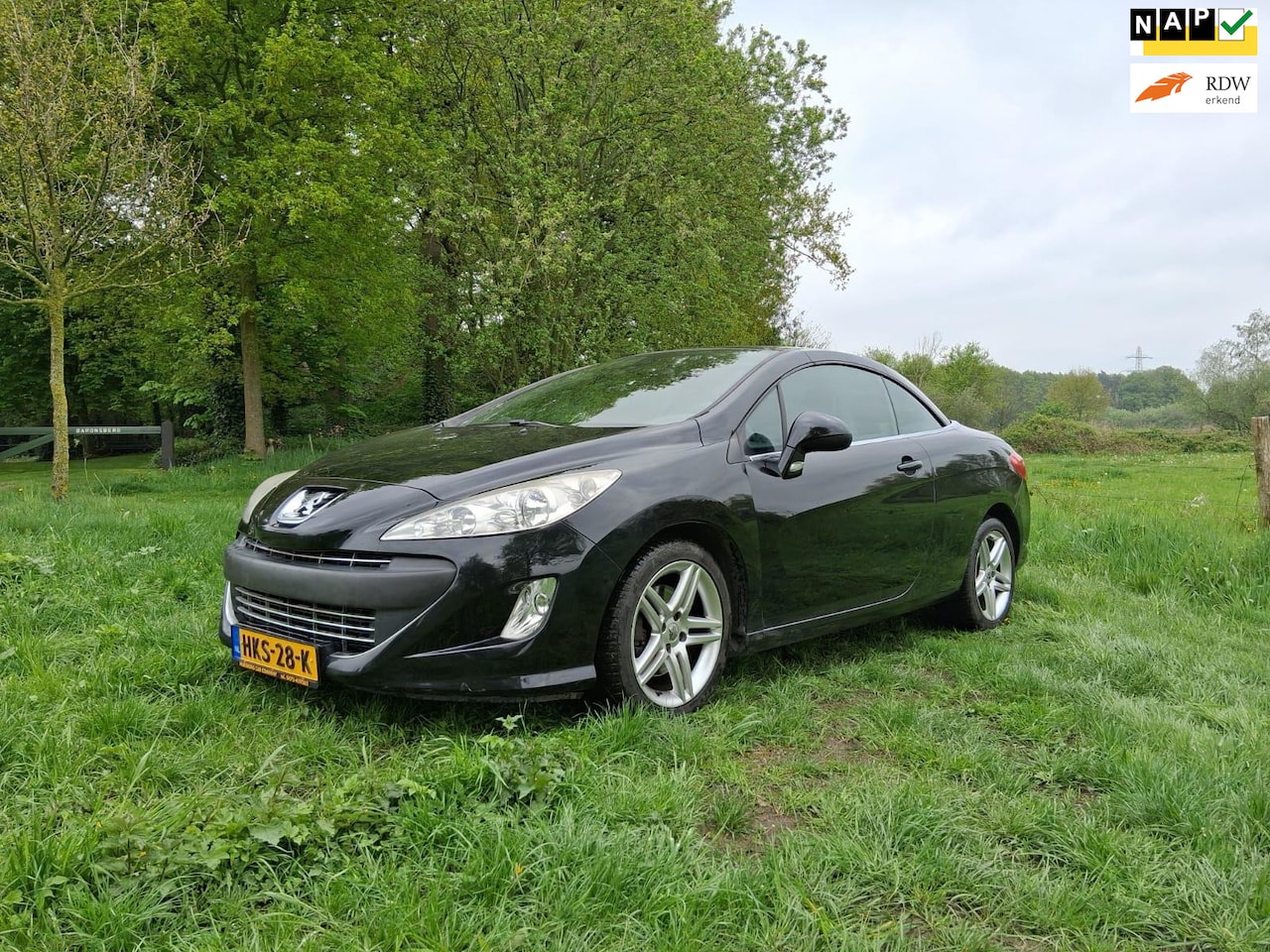 Peugeot 308 CC - 1.6 THP Feline cabrio 308cc - AutoWereld.nl