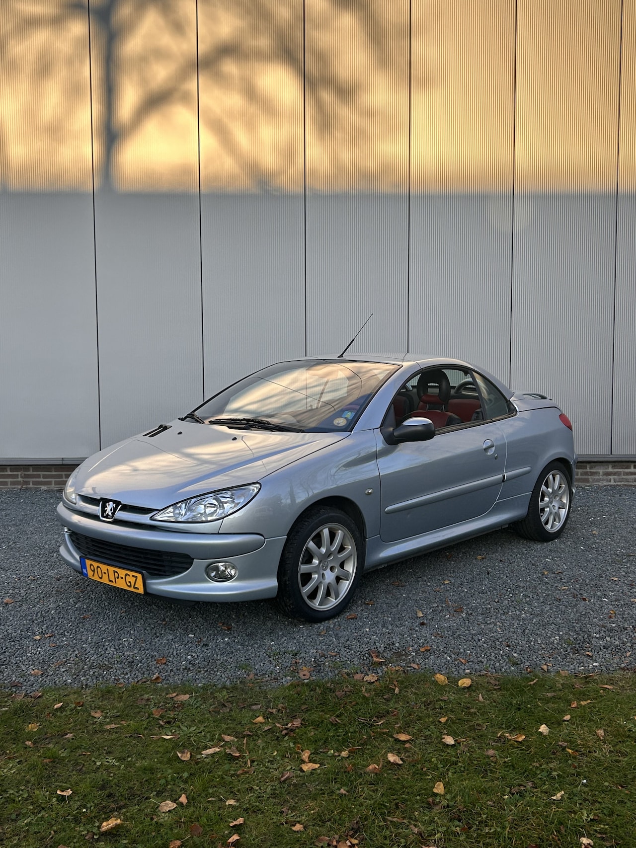 Peugeot 206 CC - 2.0-16V 2.0-16V - AutoWereld.nl