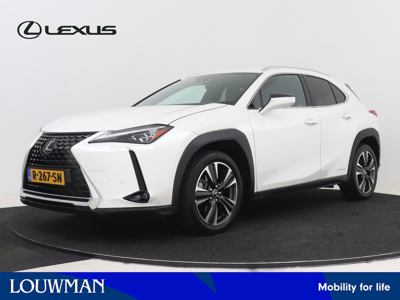 Lexus UX - 250h AWD Executive Line 250h AWD Executive Line - AutoWereld.nl