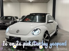 Volkswagen Beetle - 1.4 TSI CUP | Pano | Fender Bass | Stoelve