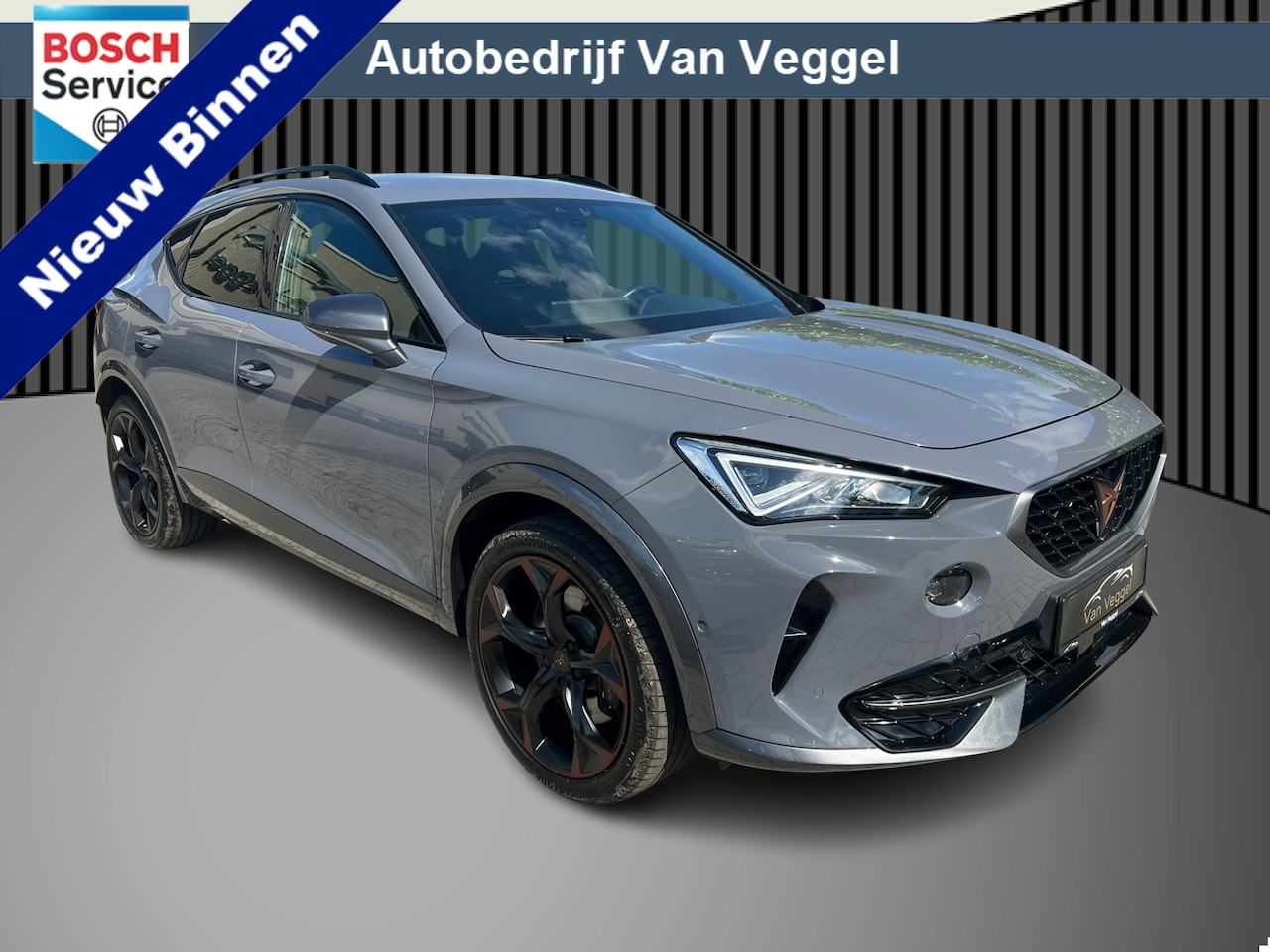 CUPRA Formentor - 1.4 e-Hybrid Performance cruise, navi, stoel/stuur verw, momory - AutoWereld.nl