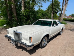 Ford Thunderbird - USA 5.0 V8 Exter. Accent