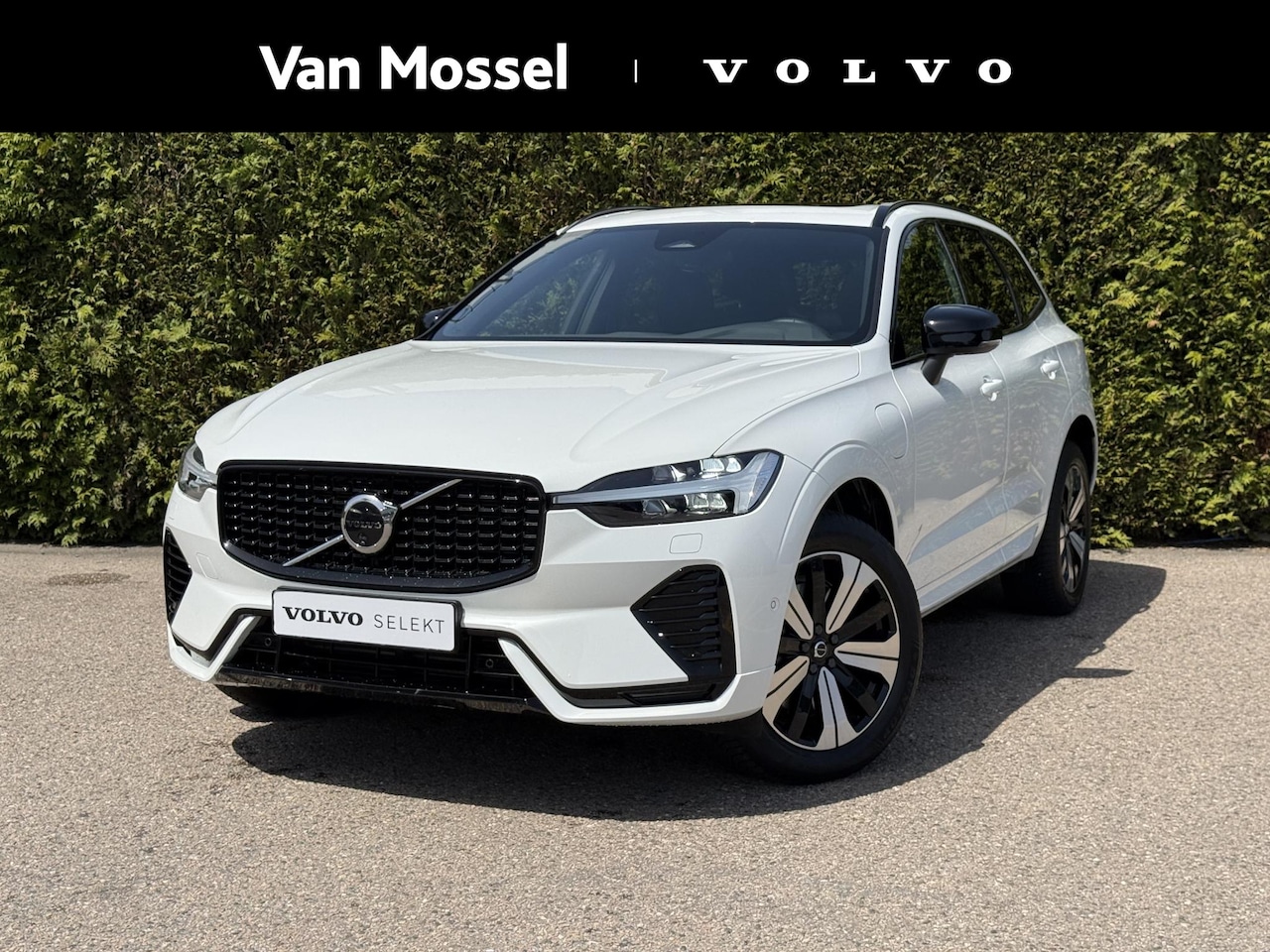 Volvo XC60 - T6 Plug-in hybrid AWD Plus Dark - AutoWereld.nl