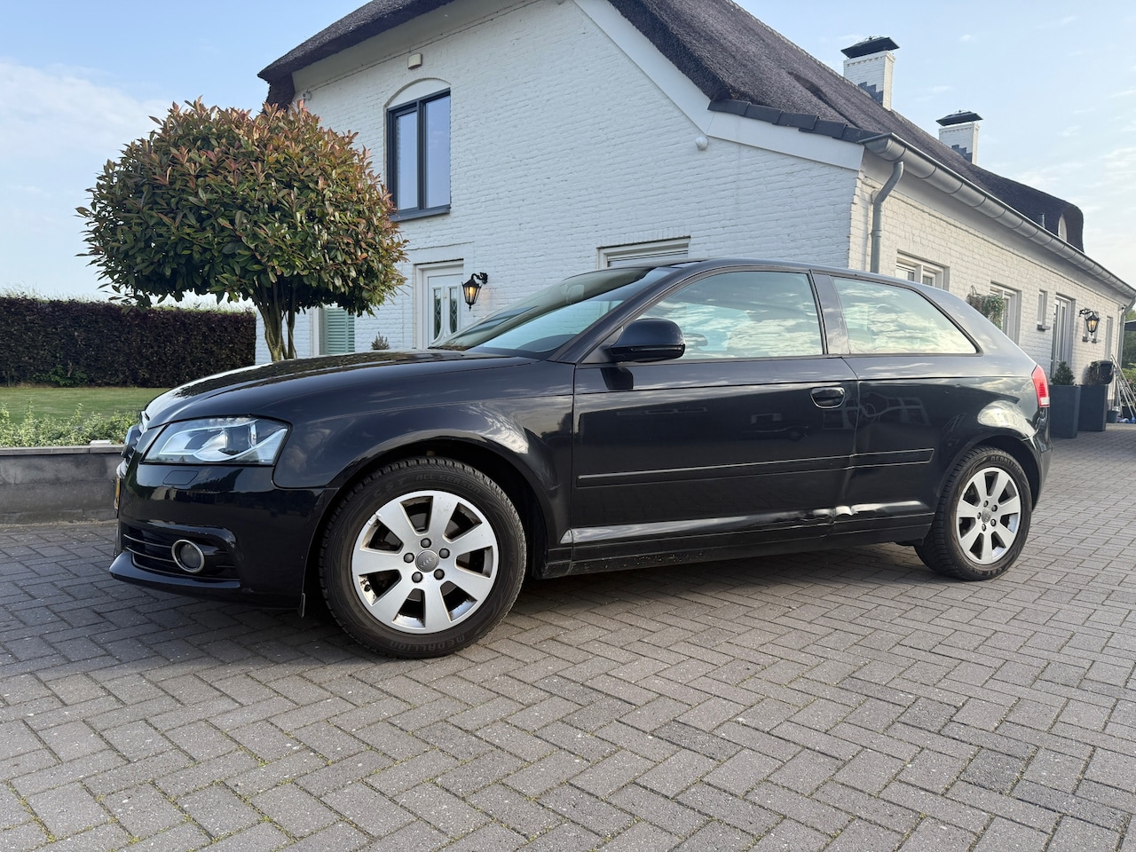 Audi A3 - 1.6 Attraction / BJ: 2009 / apk tot 03-2027! - AutoWereld.nl