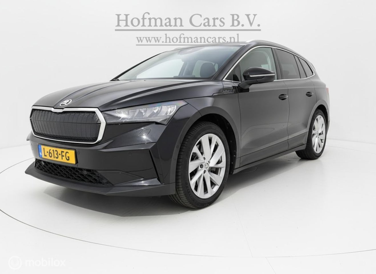 Skoda Enyaq iV - 80 80 - AutoWereld.nl