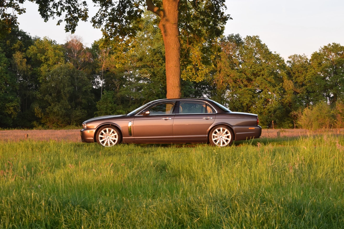 Jaguar XJ - 4.2 V8 Sovereign LWB Steel Grey – 227.667km – Y2008 - AutoWereld.nl