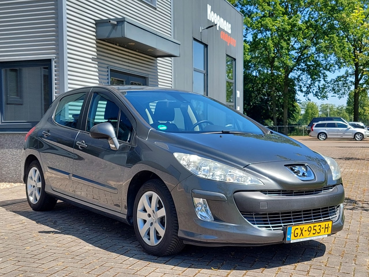 Peugeot 308 - 1.6 THP Signature 5 deurs hatchback - AutoWereld.nl