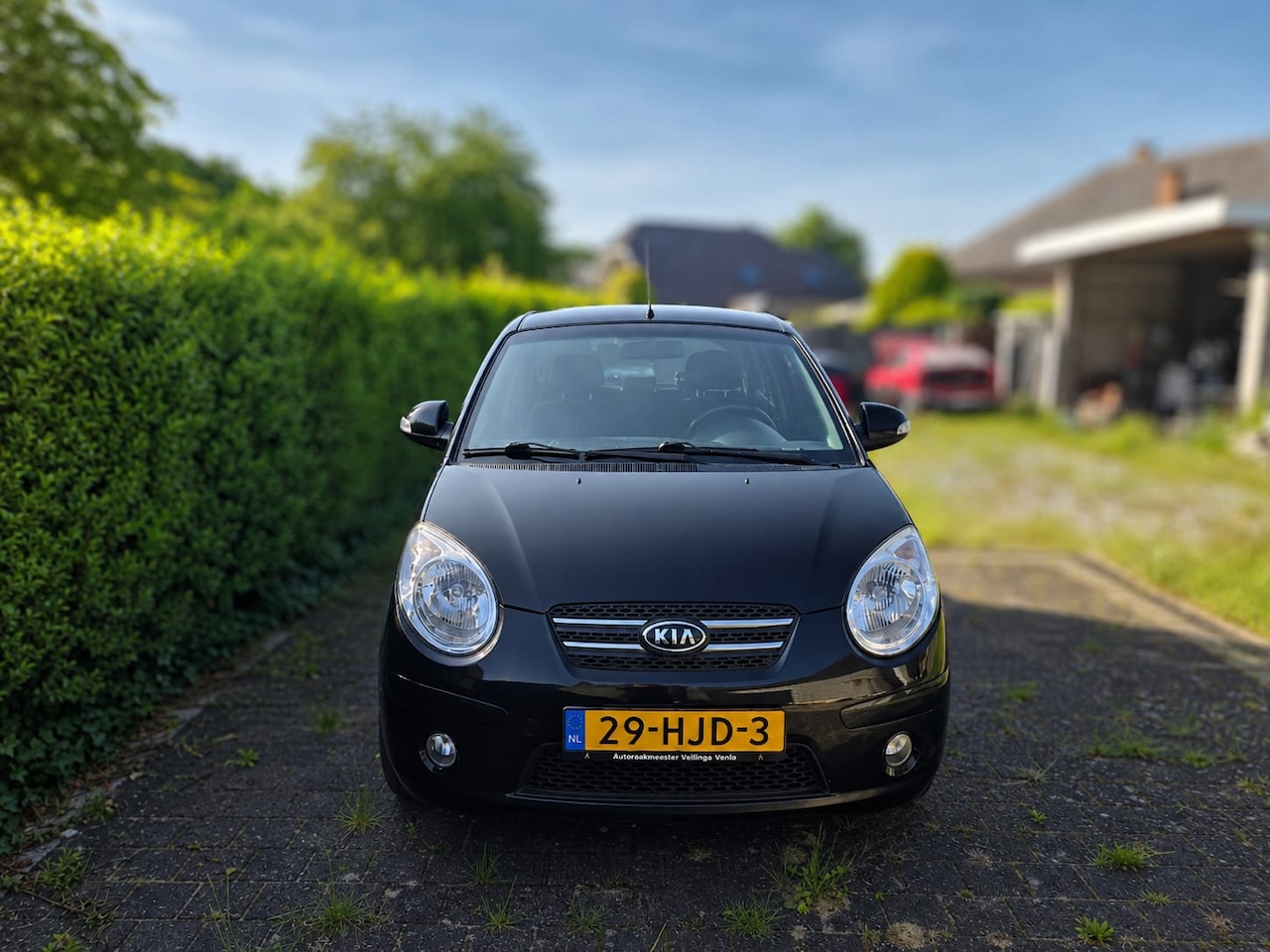 Kia Picanto - 1.1 X-ecutive Zuinig | Nette Staat | Automatische Airco IJSKOUD | Facelift