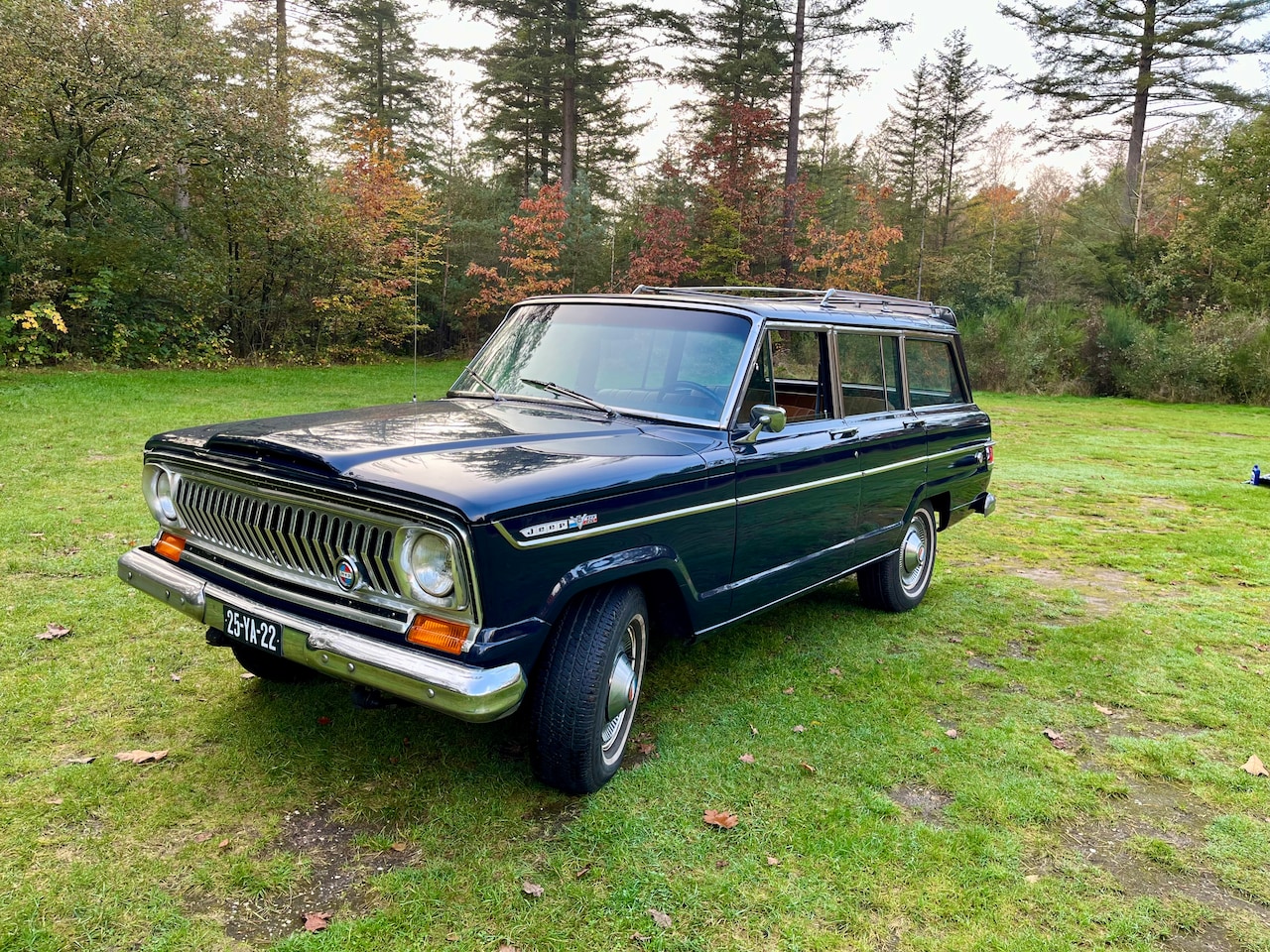 Jeep Wagoneer - 5.9 V8 Limited Wagon - AutoWereld.nl