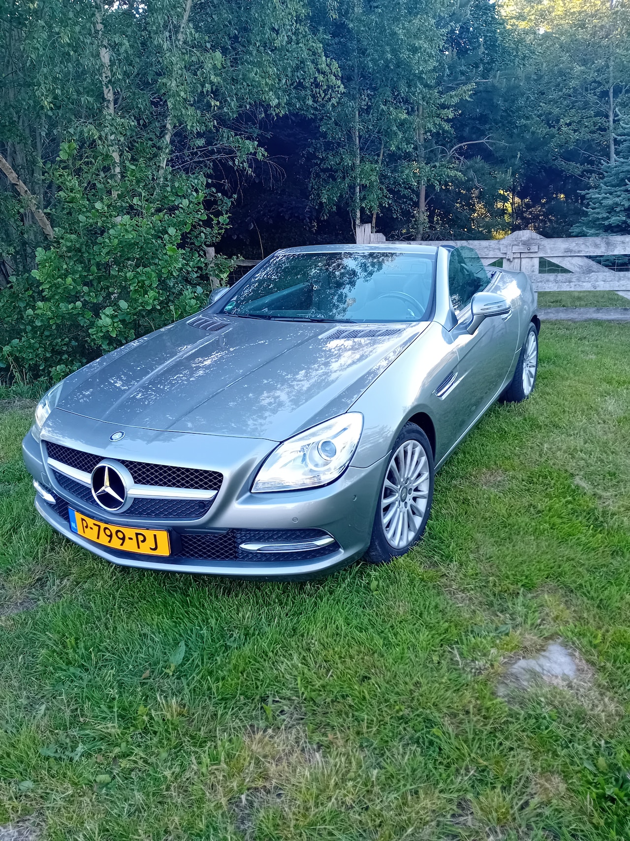 Mercedes-Benz SLK-klasse - 200 - AutoWereld.nl