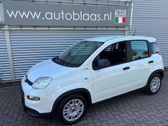 Fiat Panda - 1.0 Hybrid