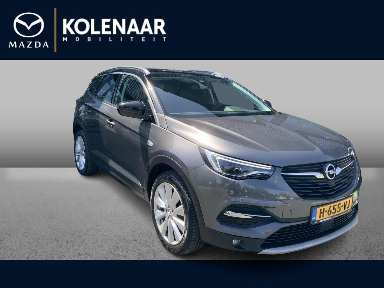 Opel Grandland X - 1.2 Turbo Navi/Trekhaak/camera achter/Nieuwstaat - AutoWereld.nl