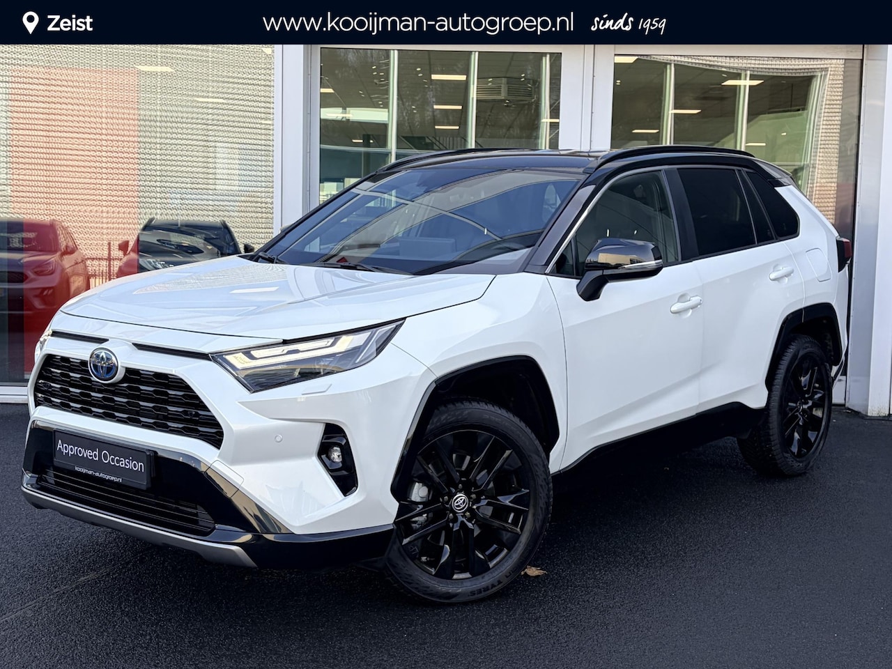 Toyota RAV4 - AWD Bi-tone Navigatie, Stuurwiel- & Stoelverwarming, LED, PDC, LMV, Elek. bestuurdersstoel - AutoWereld.nl
