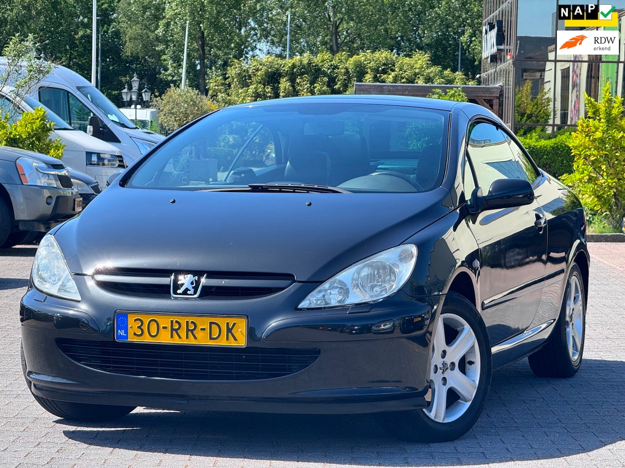 Peugeot 307 CC - 2.0-16V | Leder | Stoelverwarming | Elektrische ramen en spiegels | Cruise control | Clima - AutoWereld.nl