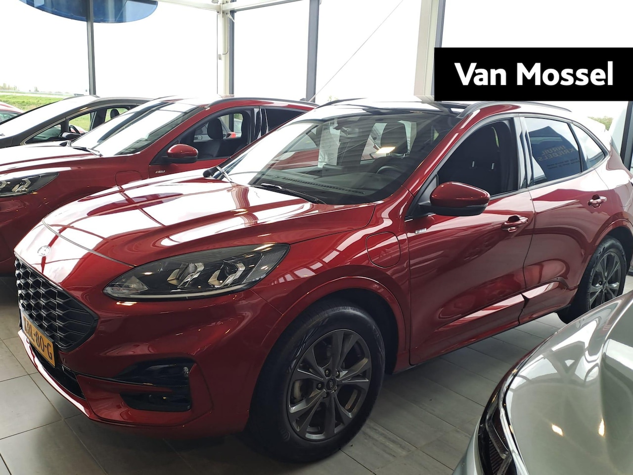 Ford Kuga - 2.5 PHEV ST-Line | Winter pack | Panoramadak | - AutoWereld.nl