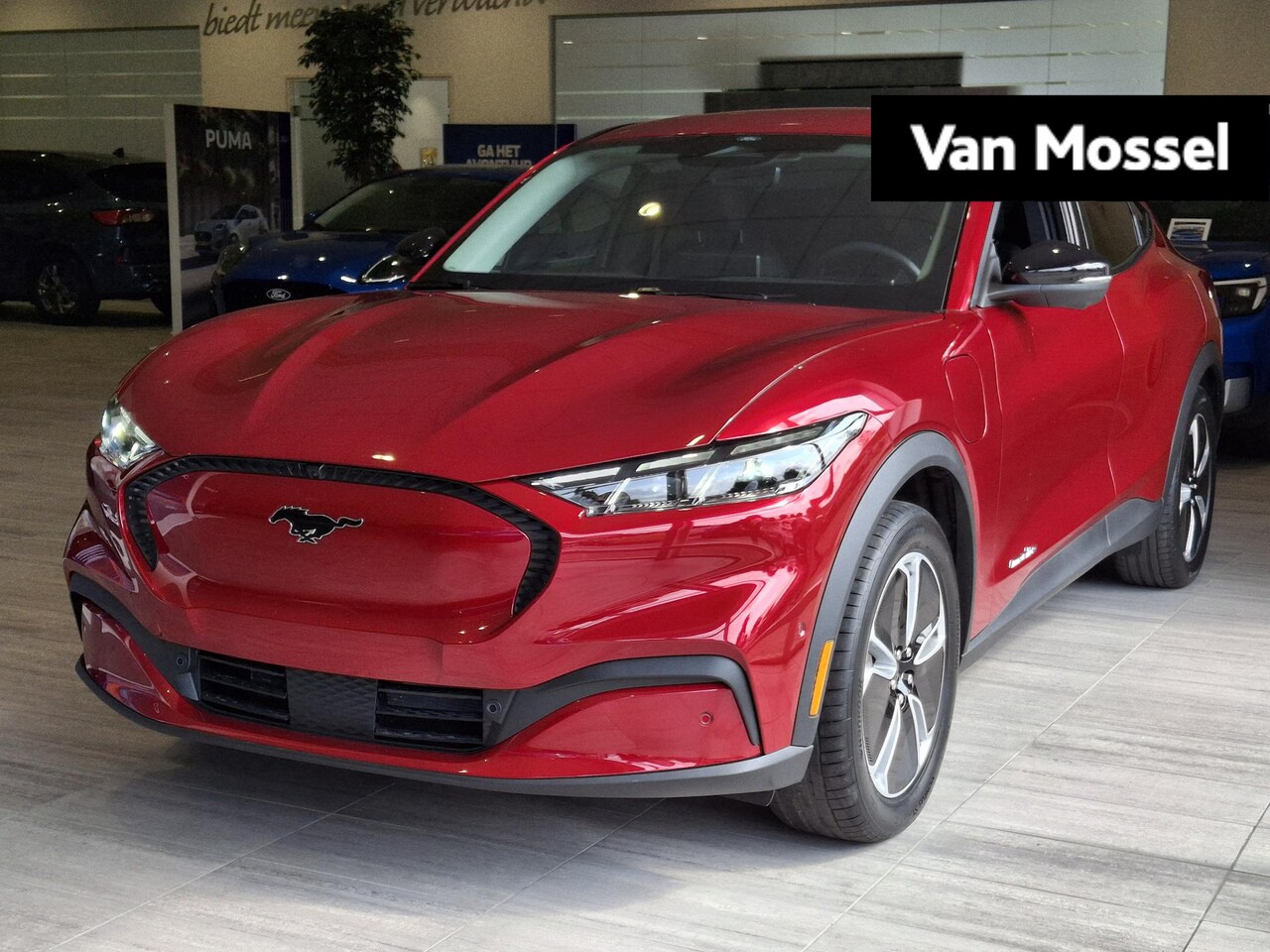 Ford Mustang Mach-E - Standard RWD 75 kWh NU MET 6.500 , - VOORDEEL! - AutoWereld.nl