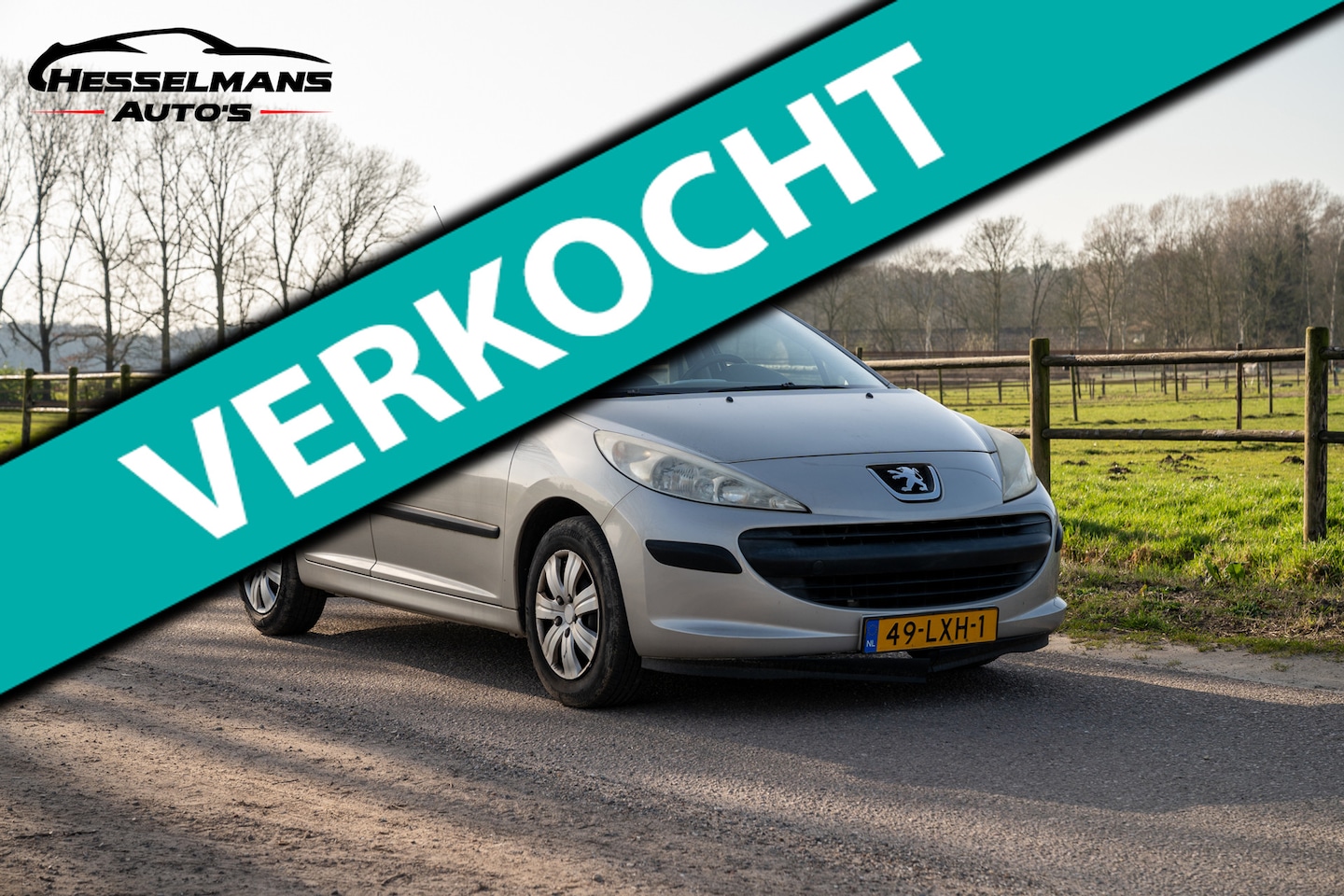 PEUGEOT 207